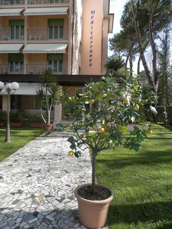 Hotel Mediterraneo Марина-ди-Пьетрасанта Экстерьер фото